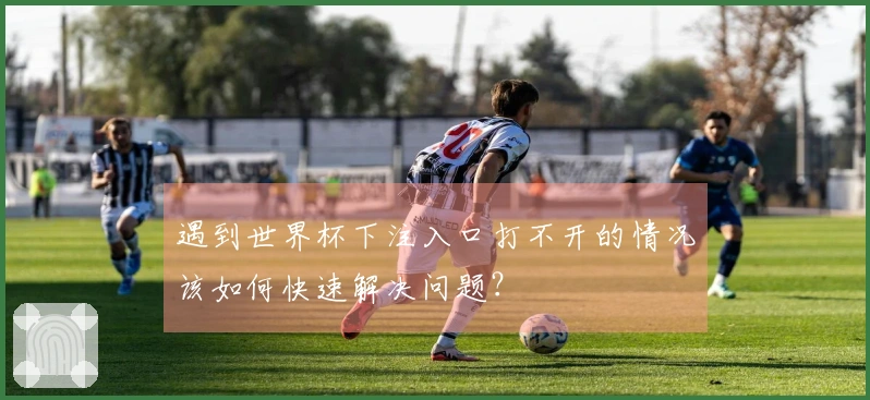 遇到世界杯下注入口打不开的情况该如何快速解决问题？