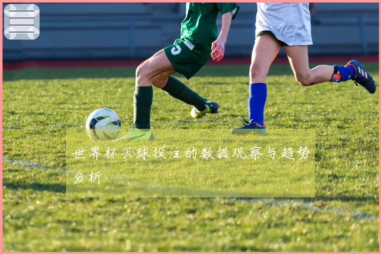 世界杯买球投注的数据观察与趋势分析