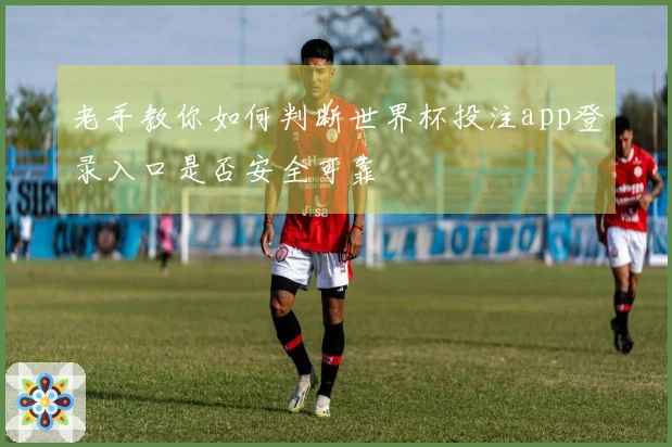 老手教你如何判断世界杯投注app登录入口是否安全可靠