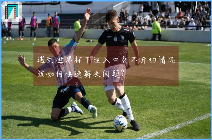 遇到世界杯下注入口打不开的情况该如何快速解决问题？