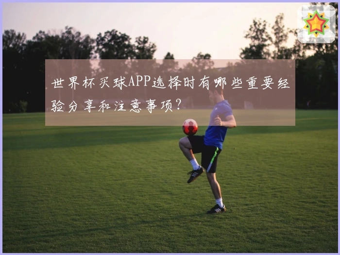 世界杯买球APP选择时有哪些重要经验分享和注意事项？